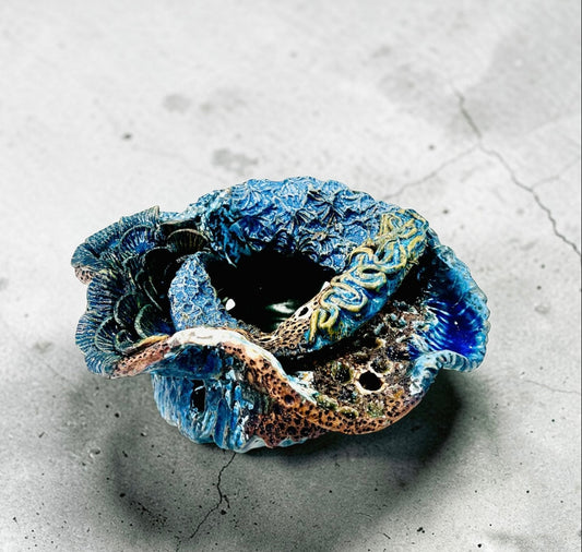 Coral Reef