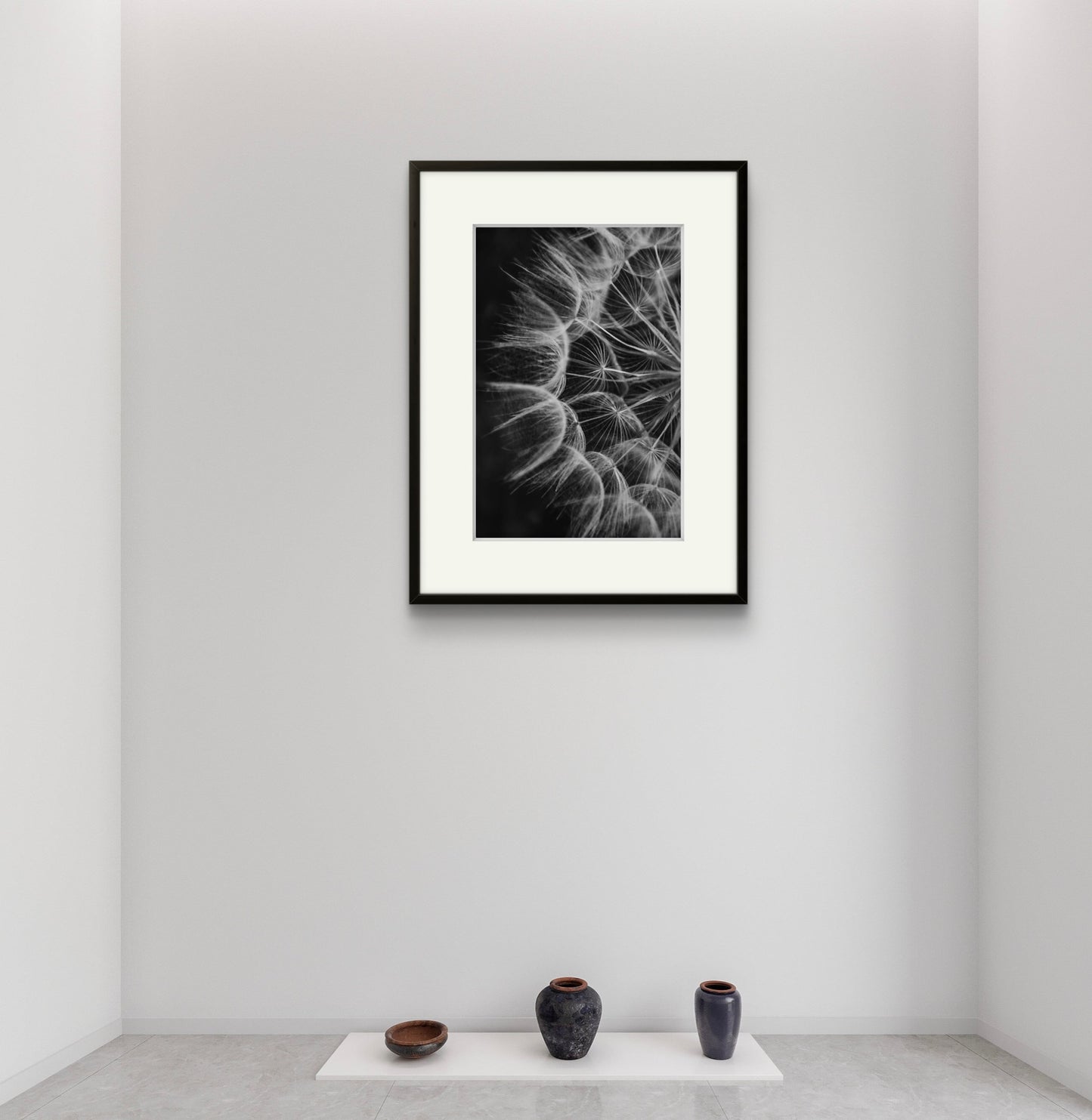 Dandelion 02