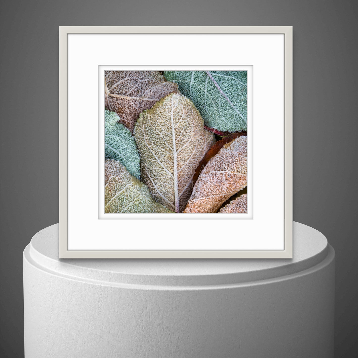 Ice Crystal (framed)