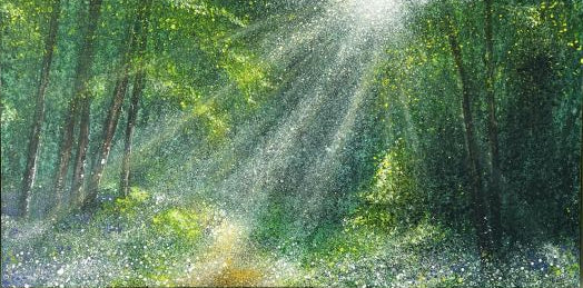 Shine the Light