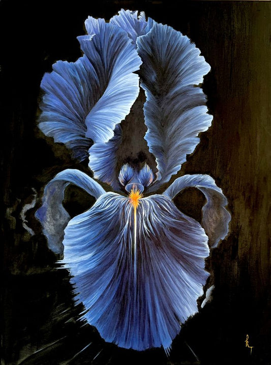 She is the Iris