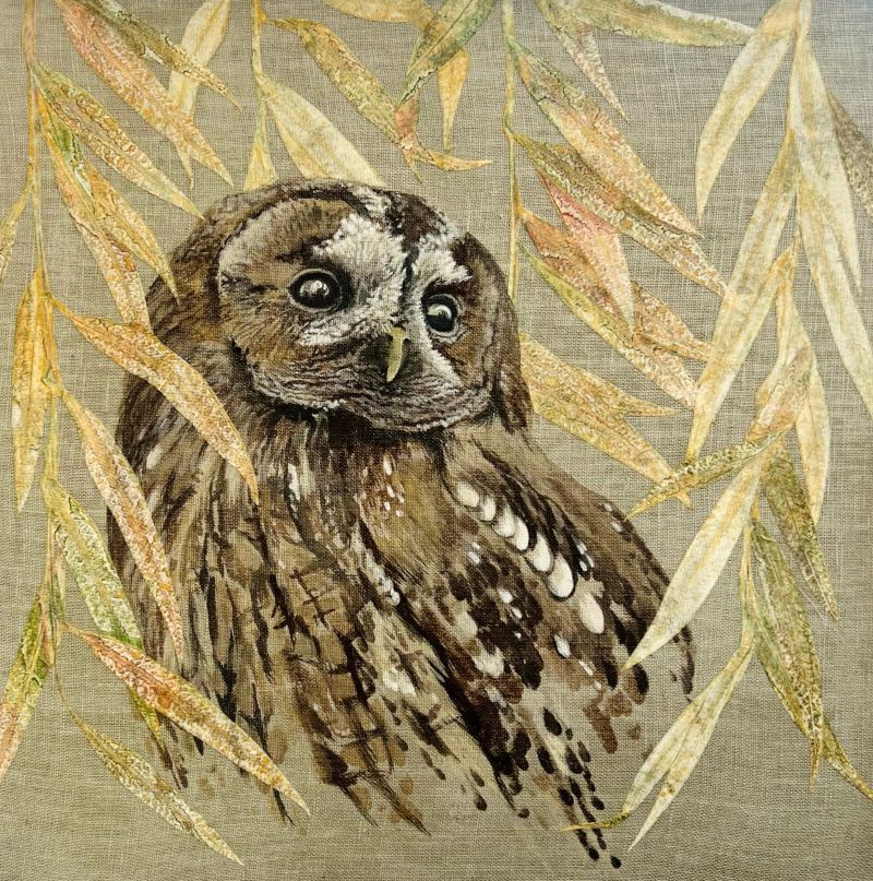 Tawny Owl Study (Original artwork)
