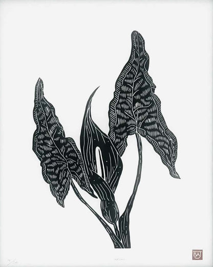 Arum