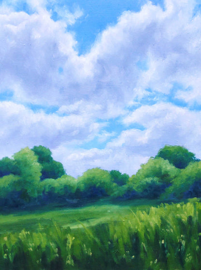 Bright Skies in the Summer