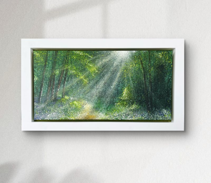 Shine the Light