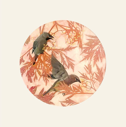 The Treasure Seekers - The Waxwings Part I