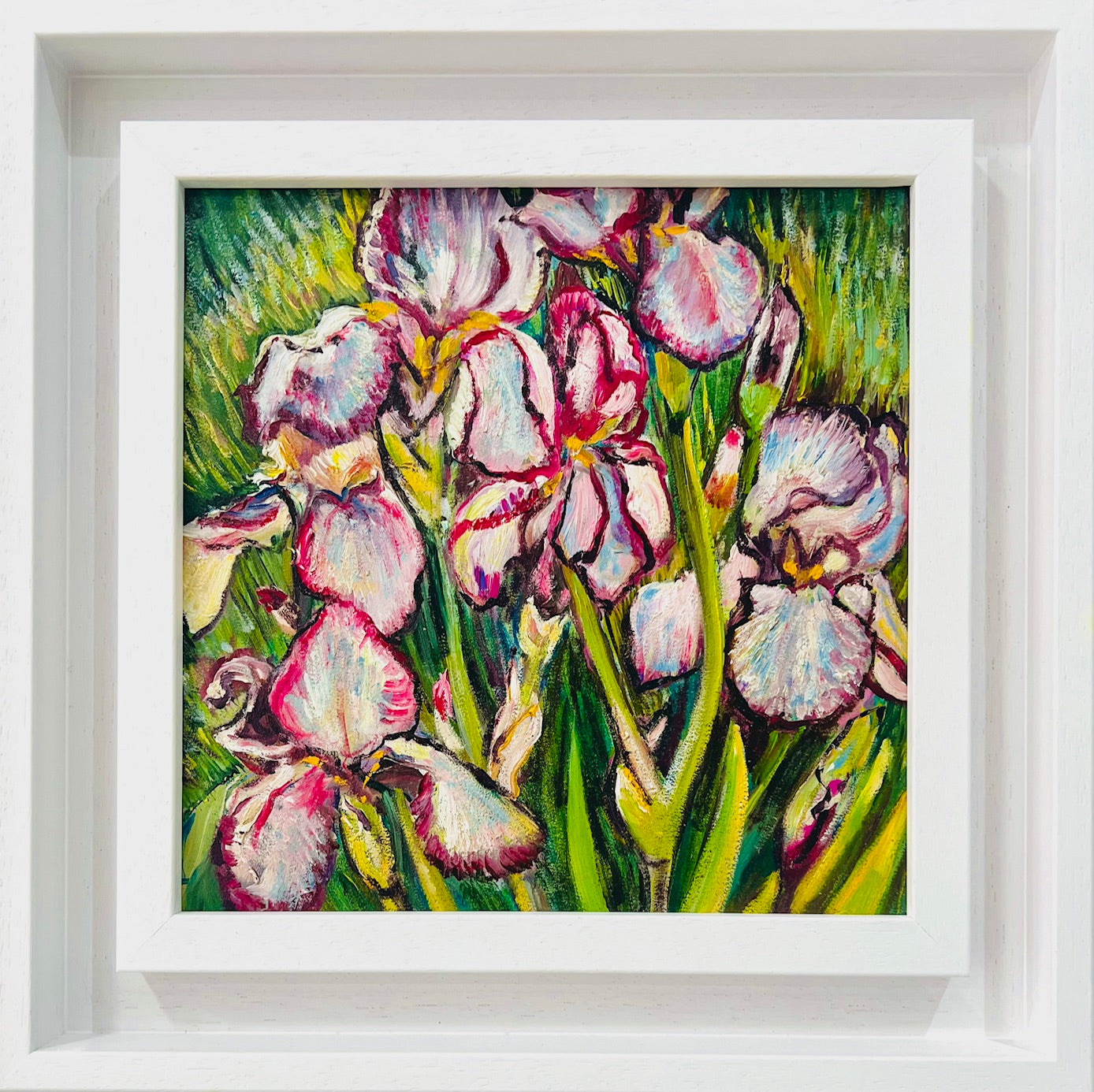 Pink Irises