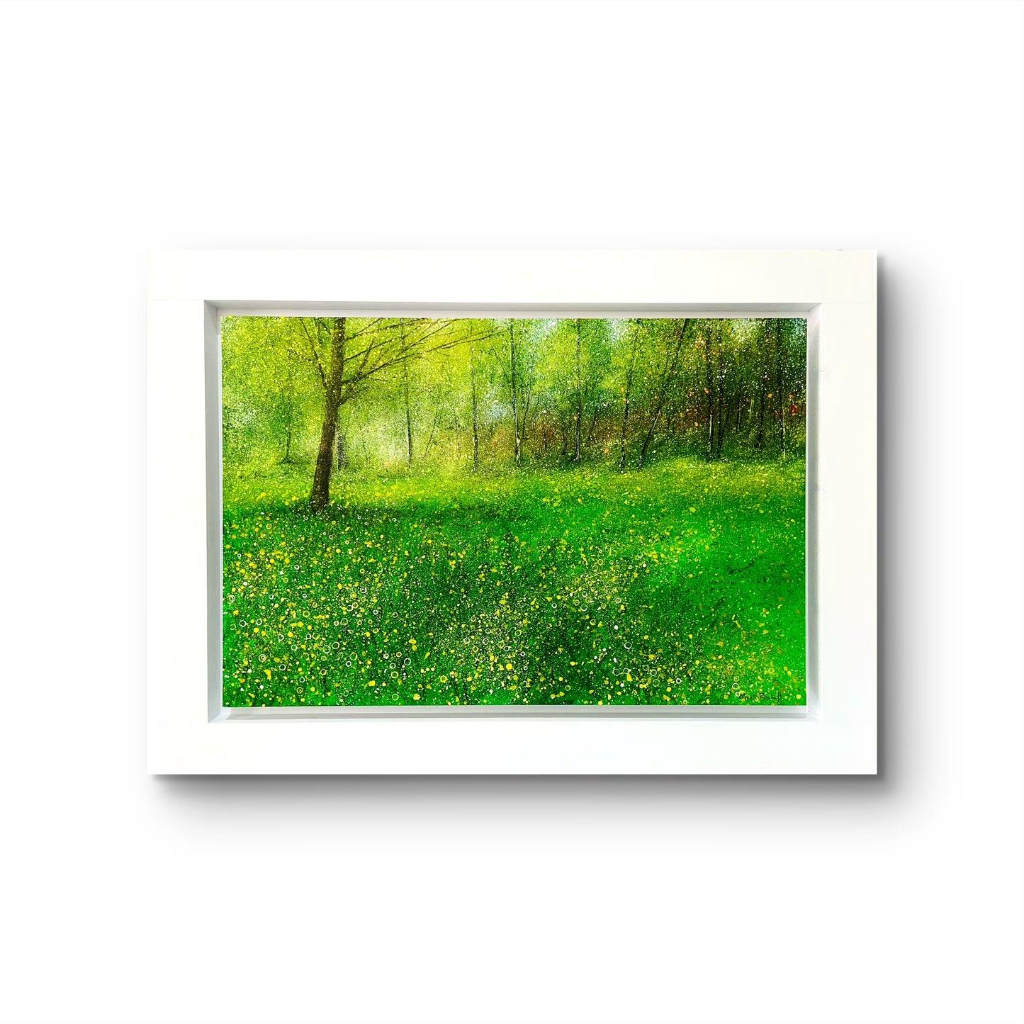 Spring Park