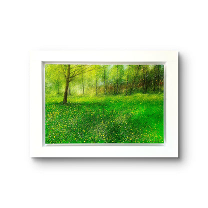Spring Park