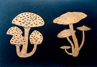 Two Fungi