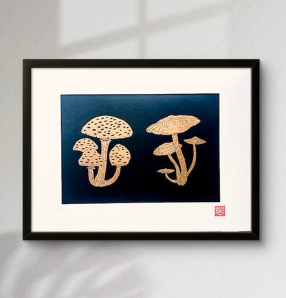 Two Fungi
