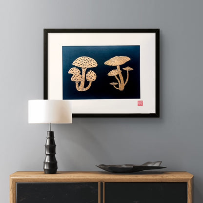 Two Fungi