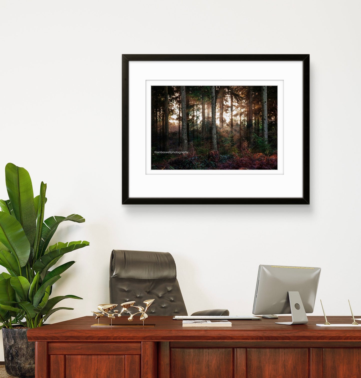 Winter in Hemsted Forest