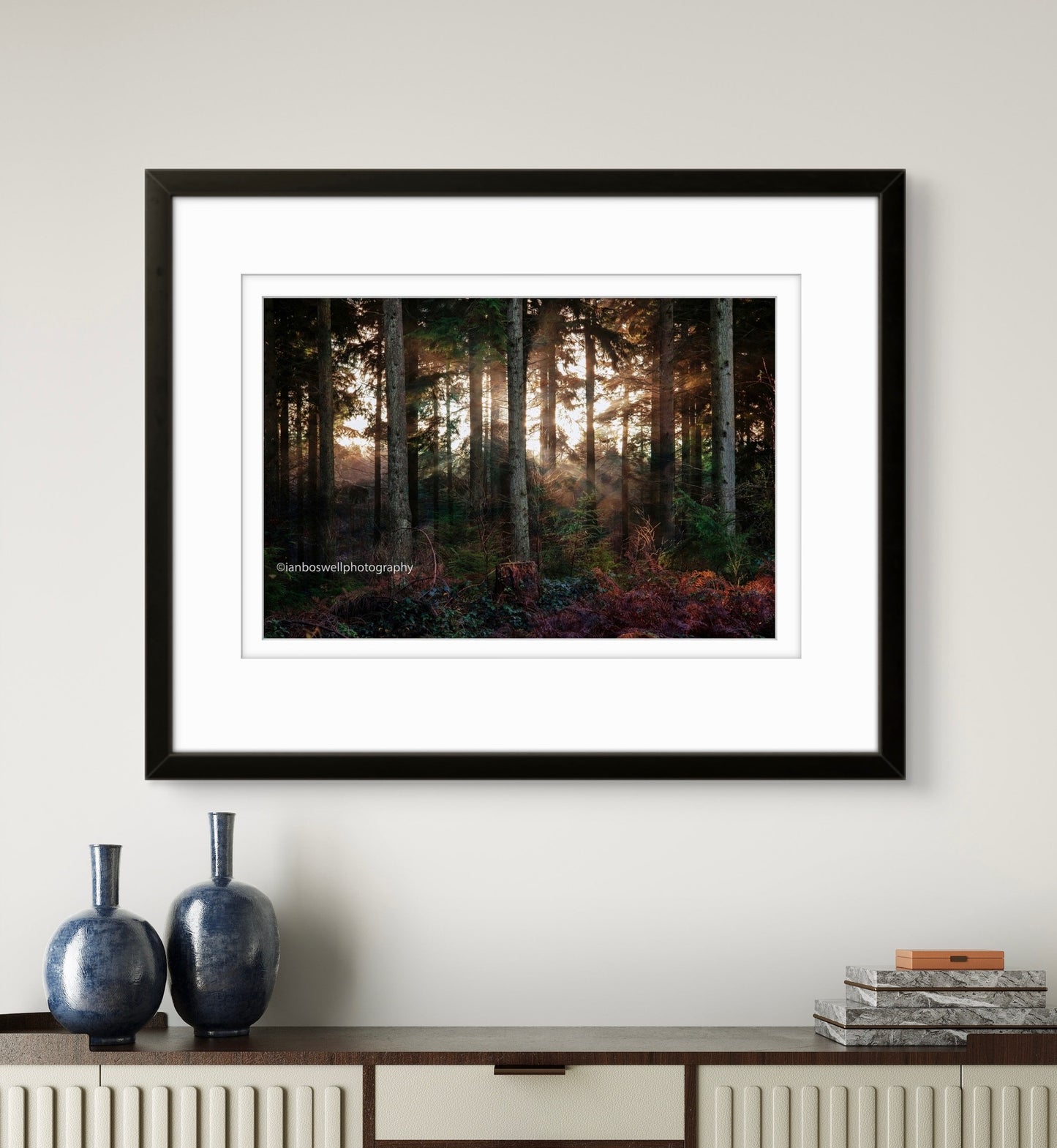 Winter in Hemsted Forest