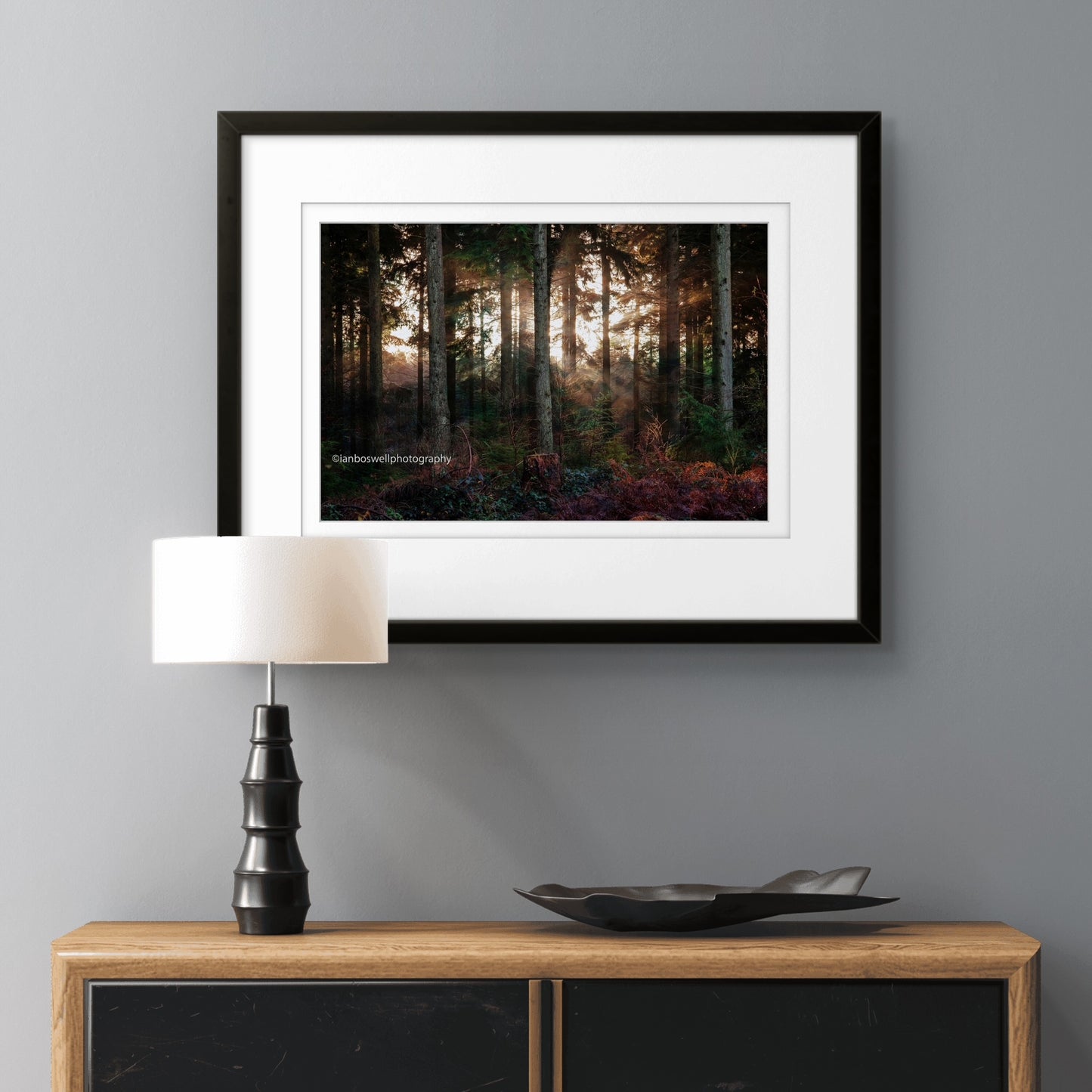 Winter in Hemsted Forest