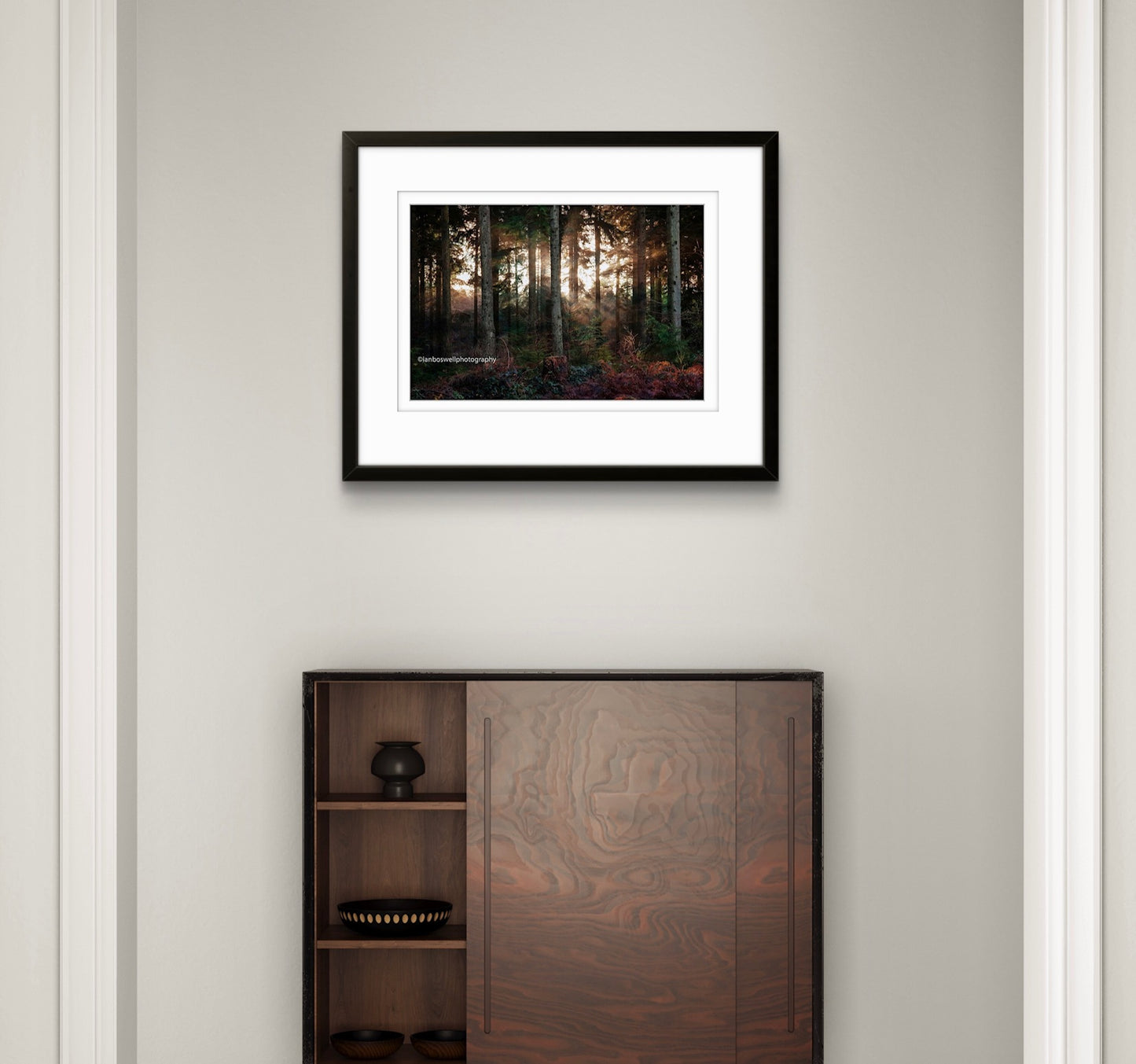 Winter in Hemsted Forest