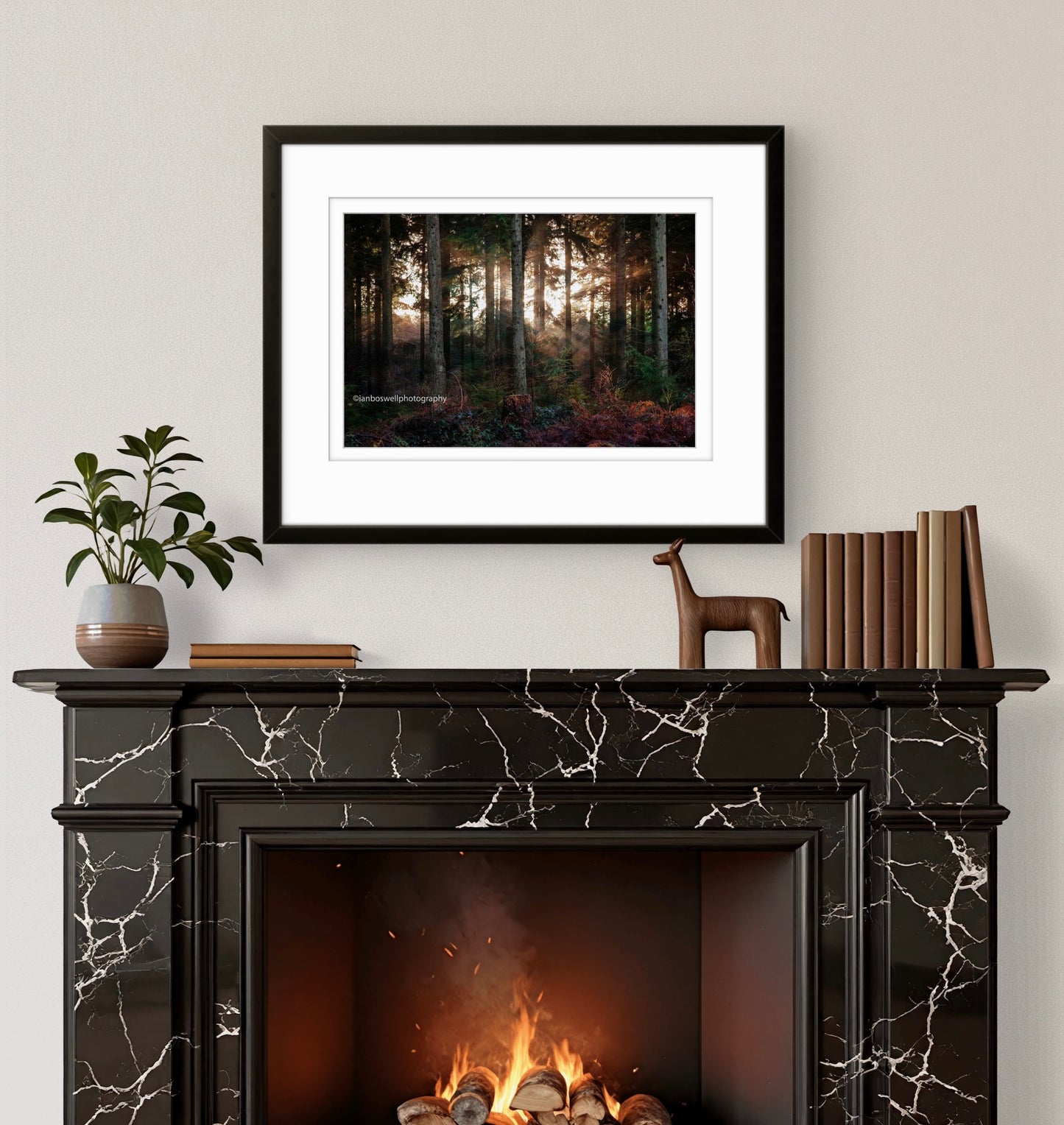 Winter in Hemsted Forest