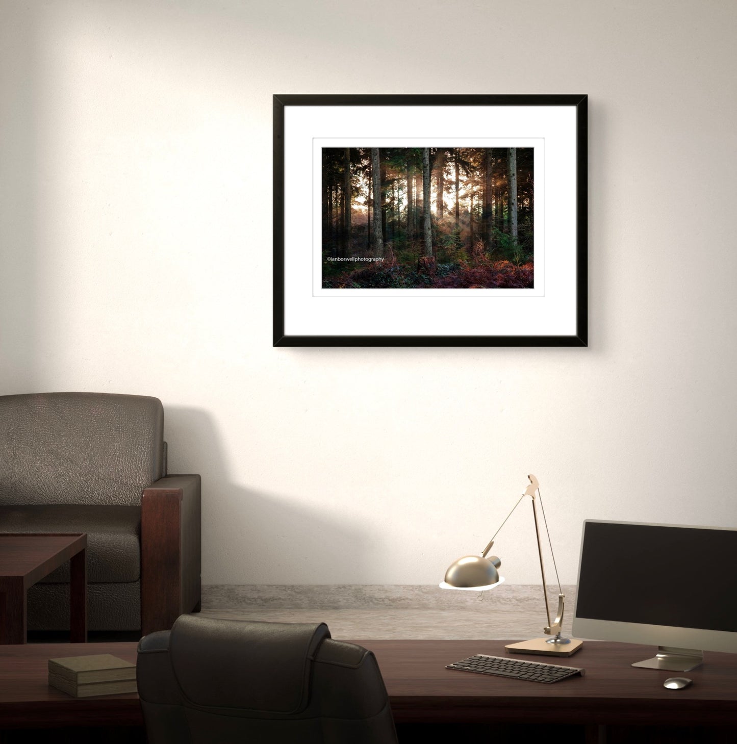 Winter in Hemsted Forest