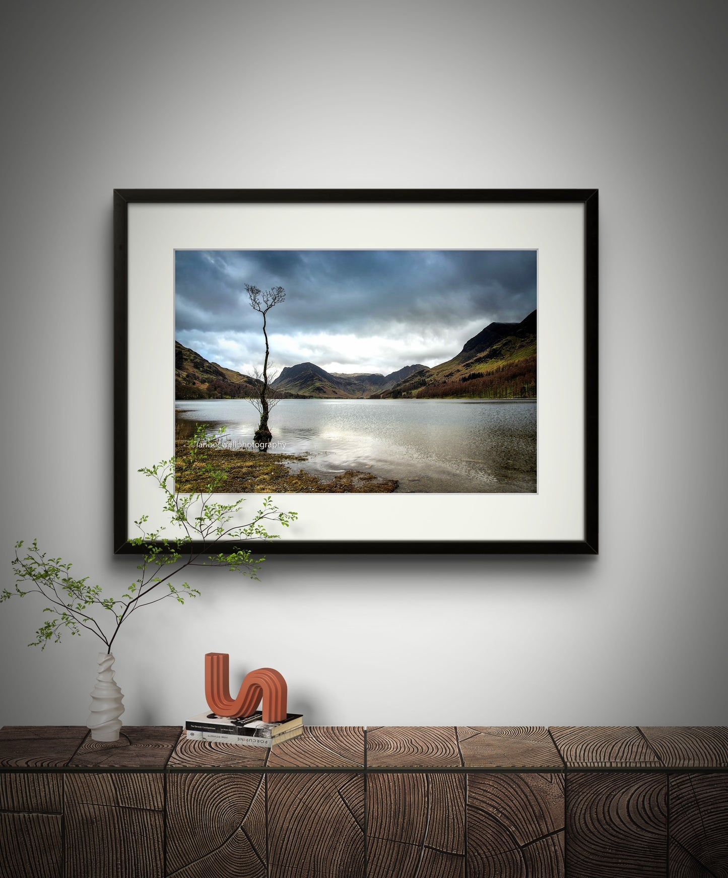 The Tree, Buttermere, Lake District