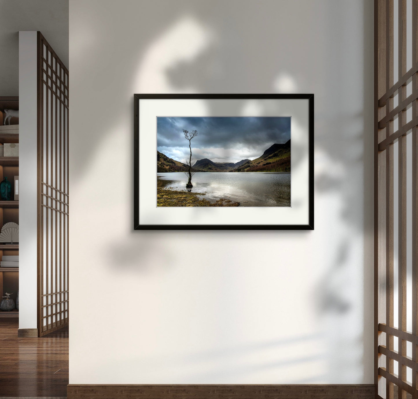 The Tree, Buttermere, Lake District
