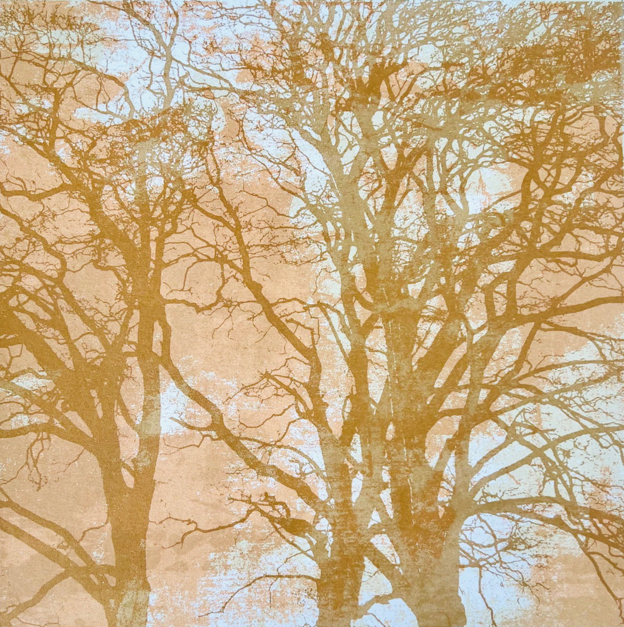 When Trees Dreams II