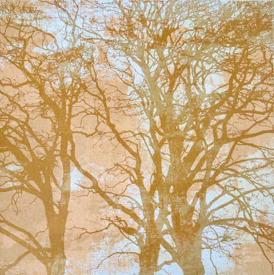 When Trees Dreams II