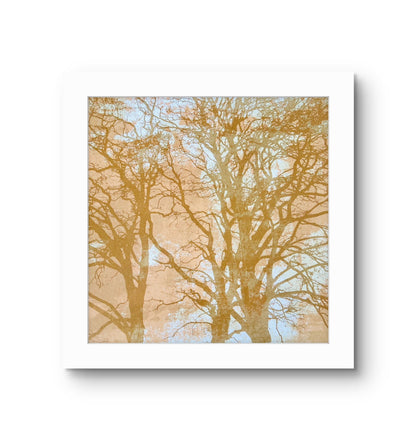 When Trees Dreams II