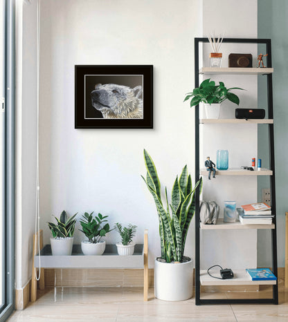 Solitude (print)