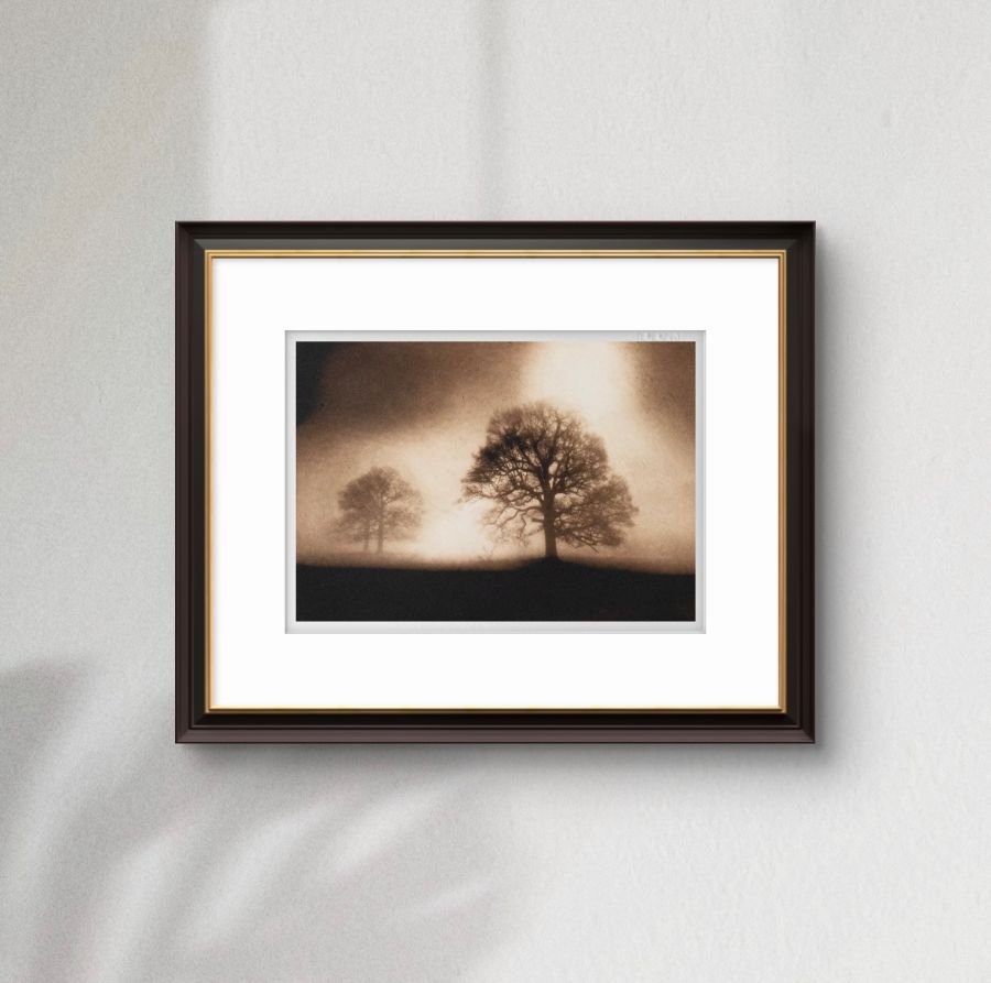 Sissinghurst Dawn. Sepia