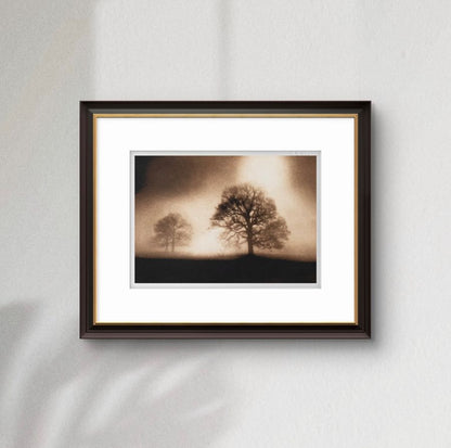 Sissinghurst Dawn. Sepia
