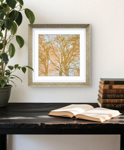 When Trees Dreams II