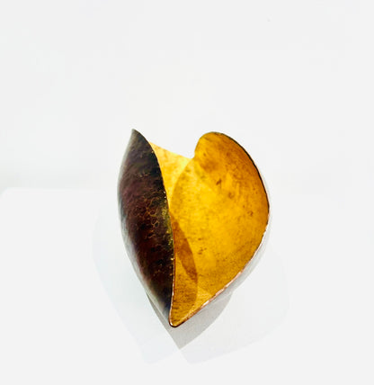 Mollusc