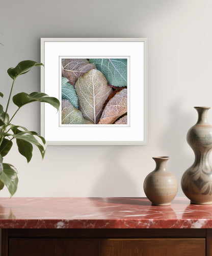 Ice Crystals (small)