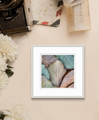 Ice Crystals (small)