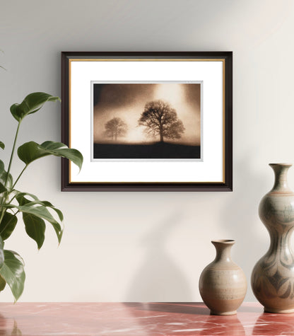 Sissinghurst Dawn. Sepia