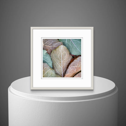 Ice Crystals (small)