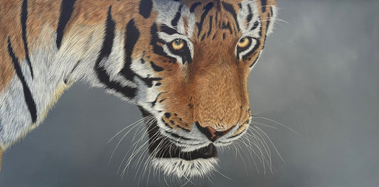 Intensity