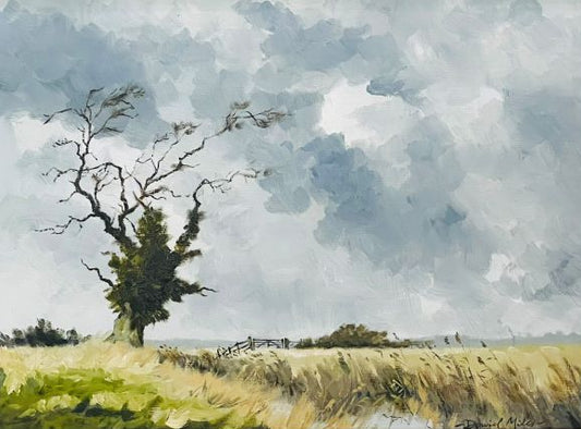 Marsh in Winter, Snargate