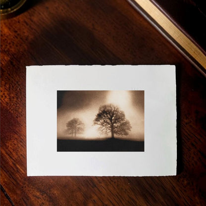 Sissinghurst Dawn. Sepia