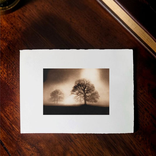 Sissinghurst Dawn. Sepia