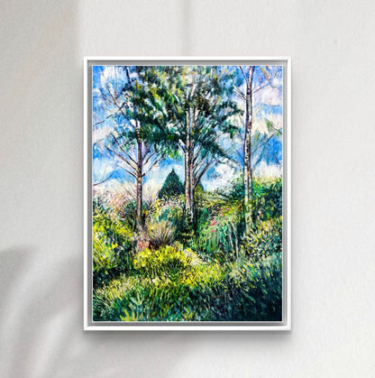 Tall Trees