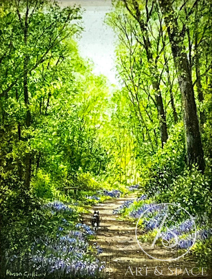 Bluebells at Hole Park, Kent