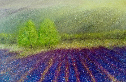 Lavender Field