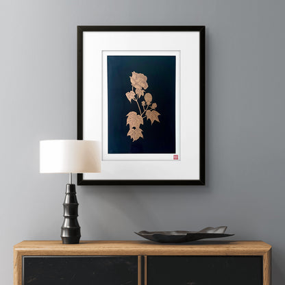 Japanese Peony