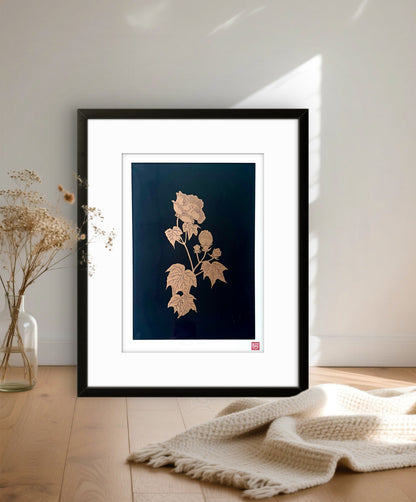 Japanese Peony