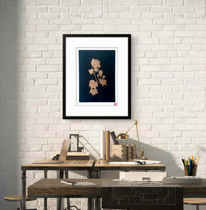 Japanese Peony