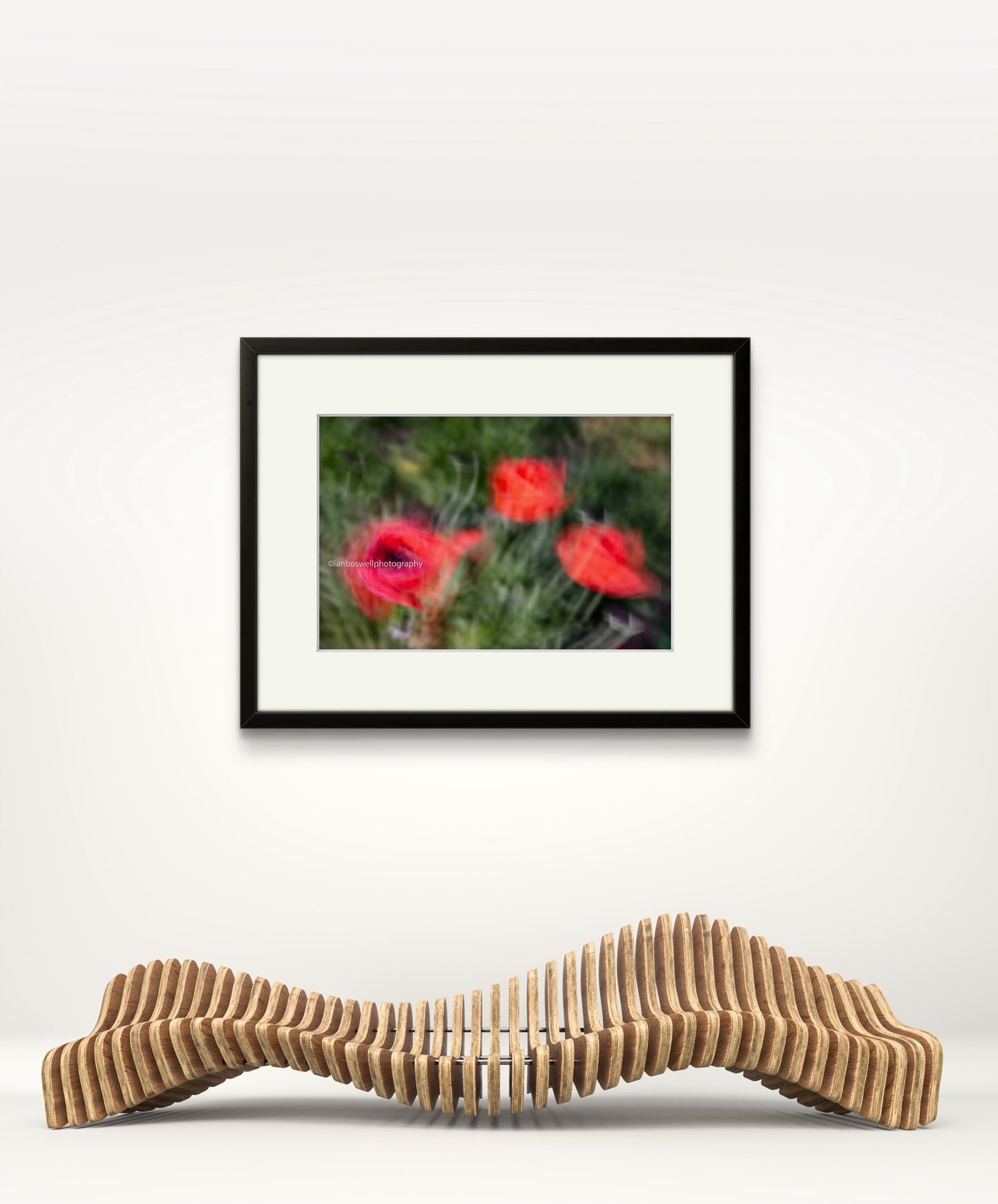 Poppies