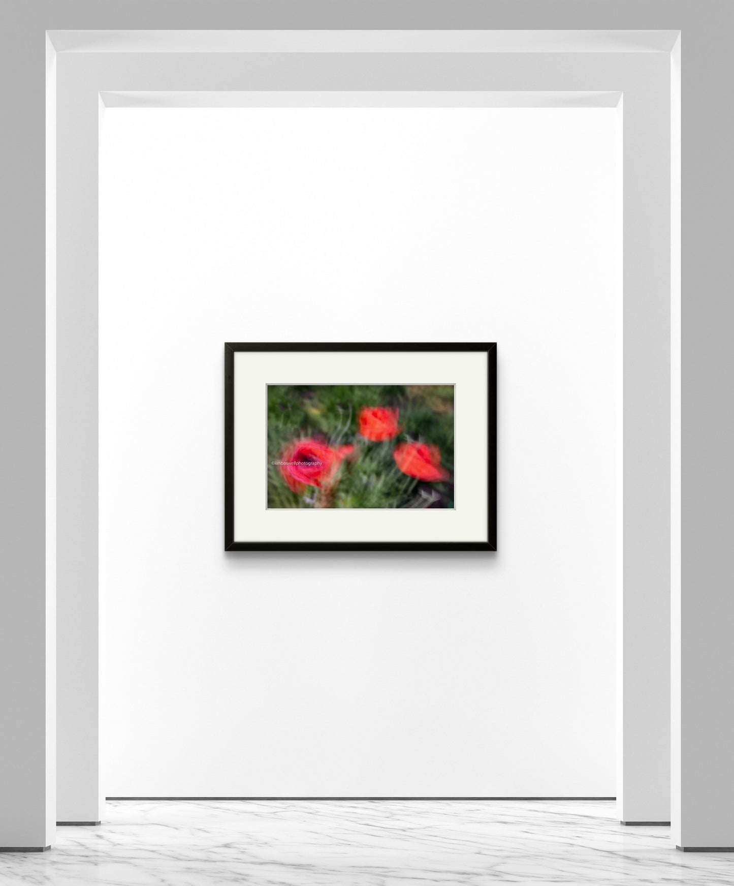 Poppies