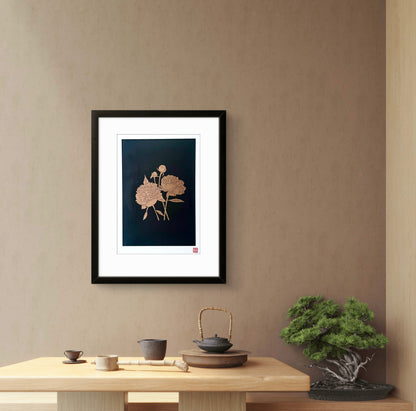 Japanese Poppy