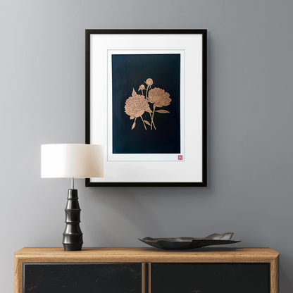 Japanese Poppy